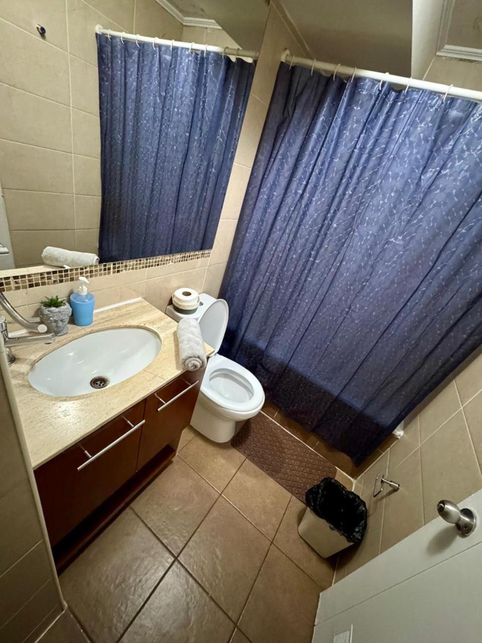 Apartamentos Orquidea Suite Santiago de Chile Bagian luar foto